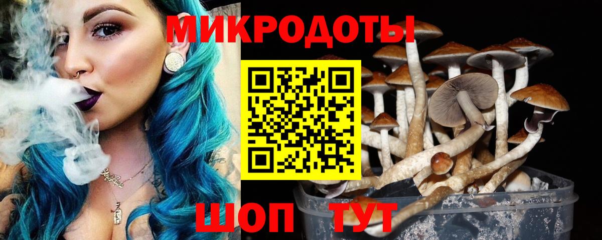 Галлюциногенные грибы мицелий  Вход с VPN  где можно купить наркотик  Галлюциногенные грибы Cubensis  Псков 